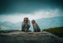 What Are the Harmful Effects of Plastic Pollution on Wildlife? photo of tow gray monkeys