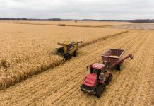 5 Tools and Equipment Every Farm Should Have red and black tractor on brown field during daytime
