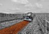Land Clearing With Precision: How Forestry Mulchers Optimize Fieldwork