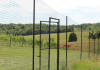 Deer Fencing and Lyme Disease: A Practical Strategy for Homeowners and Communities