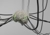 Is Dr. Andrew Huberman Credible? A computer generated image of a brain surrounded by wires