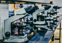 Your Go-To Guide for Finding the Best Microscope Slide Storage Cabinet for Any Lab white microscope on top of black table