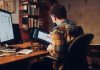 Extremely Smart Online Auditing Operations Prioritizing Fraud and Scam Prevention! man in brown and white plaid dress shirt sitting on black office rolling chair