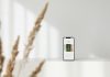 What Minimalist Phones Reveal About the Future of Mobile Design a phone sitting on top of a table next to a plant