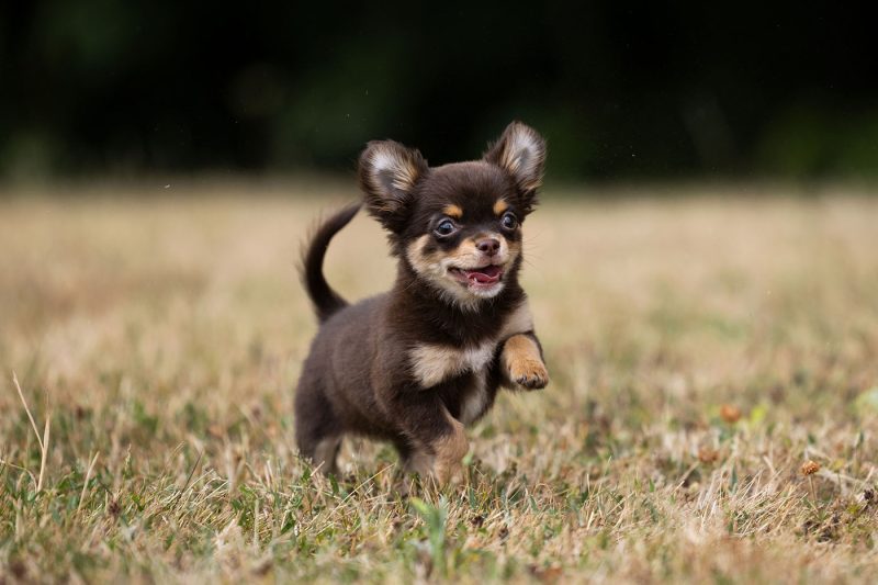 c-work-qgp-new-3541-1-jpeg