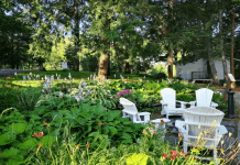 The Art of Slow Living: Creating Intentional Spaces in Your Backyard