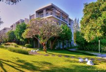 Why Ownership of a Condo Unit in Thailand Is a Strategic Advantage green tree in front of white concrete building