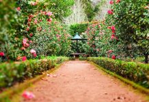 How to Seamlessly Transition Your Lifestyle and Garden During a Move brown pathway between green plants