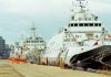 How Maritime Lawyers Can Distinguish Themselves Via Marketing Several white ships docked at a harbor with city skyline.