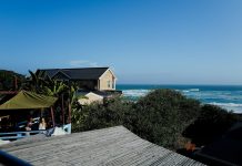 How to Maintain and Maximise Returns on Your Coastal Rental Property Coastal homes overlooking the ocean with lush green trees.