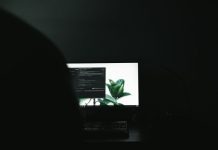 How to Protect Your Privacy in the Digital Age flat screen monitor turned-on