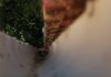What Role Do Gutter Systems Play in Protecting Industrial Assets? a close up of a fence with trees in the background