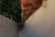What Role Do Gutter Systems Play in Protecting Industrial Assets? a close up of a fence with trees in the background