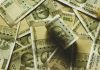 Protect Your Family and Grow Your Wealth with a Single Plan Indian rupee banknote lot close-up photography