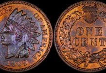 What Is the Indian Head Cent & Why Do Collectors Love It?