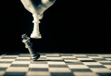How Chess Entered the Program of Multidisciplinary Esports Competitions grayscale photo of person holding glass