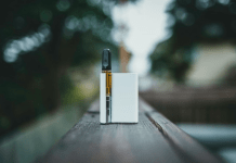 A Beginner’s Guide to Choosing the Right Vape Device