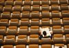 person reading in empty lecture hall
