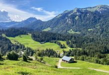 Which luxury hotels on the Seiser Alm are best for a hiking and biking holiday in summer? green grass field near green mountains under blue sky during daytime