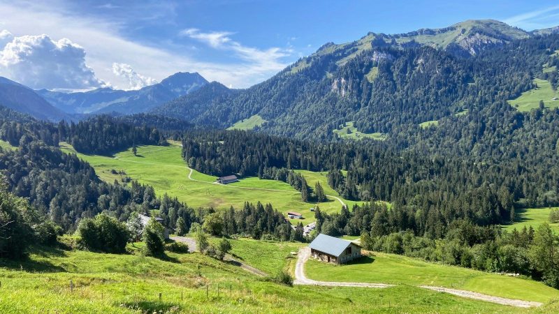 Photo by Edwin Dingjan green grass field near green mountains under blue sky during daytime